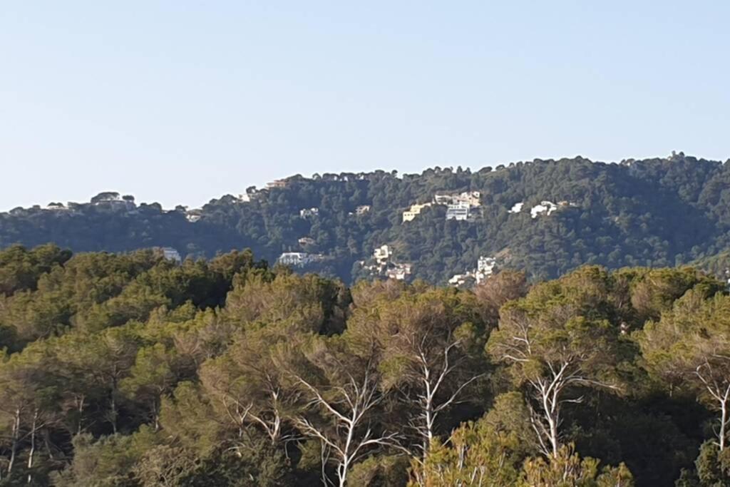 Apartamento Aptment 4a Sa Calobra With Pool & Terrace Canyamel *