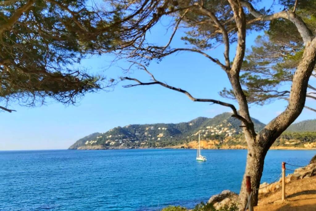 Appartement Aptment 4a Sa Calobra With Pool & Terrace Canyamel